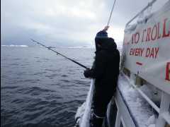 Cod Fishing22